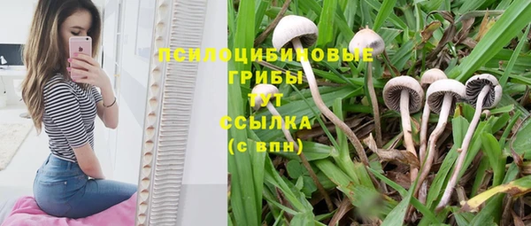 меф Абинск