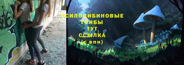 герыч Абаза