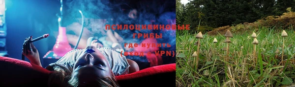 PSILOCYBIN Абдулино