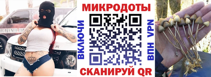 Псилоцибиновые грибы Magic Shrooms  гидра зеркало  Усть-Кут  где можно купить  
